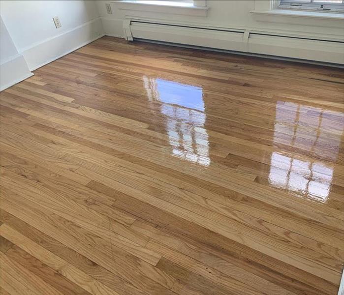 Wood flooring, very clean, window reflected off of the flooring. 